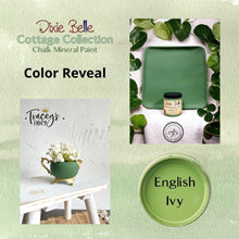 Load image into Gallery viewer, New Colors! (Pre-Order)
